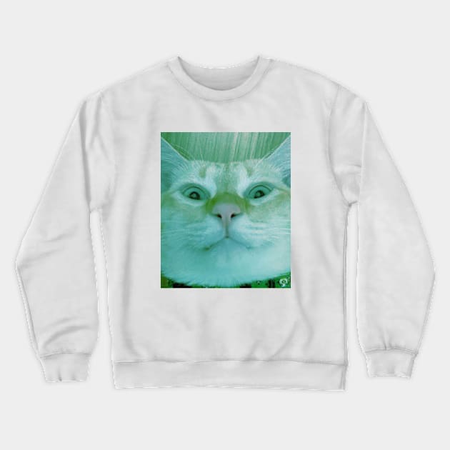 Cat stares into your soul v2 Crewneck Sweatshirt by fai-ry-tale